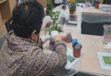 반려 식물, 어르신들에게 치유의 손길 됐다