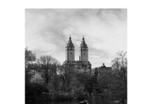 신사동 가로수길에서 파사드 조명 아트로 만나는 뉴욕!