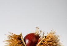 겨울철 간식, 칼로리 걱정 없는 선택법 red onion on hays