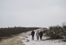 노인 질환의 예방과 관리: 일상에서 할 수 있는 건강 관리 three person walking on snow covered field