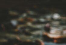 “마음 건강 챙기기, 일상 속 작은 변화로부터 시작하세요” pink and white lotus flower