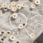 삶에 스며드는 웰니스 문화… 일상 속 실천법은? white and blue floral textile